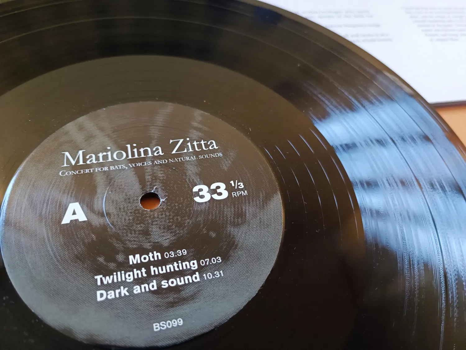 Mariolina Zitta Concert For Bats Voices And Natural Sounds vinile