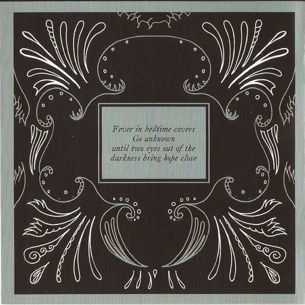 The Joy Formidable The Big Roar CD album indie rock