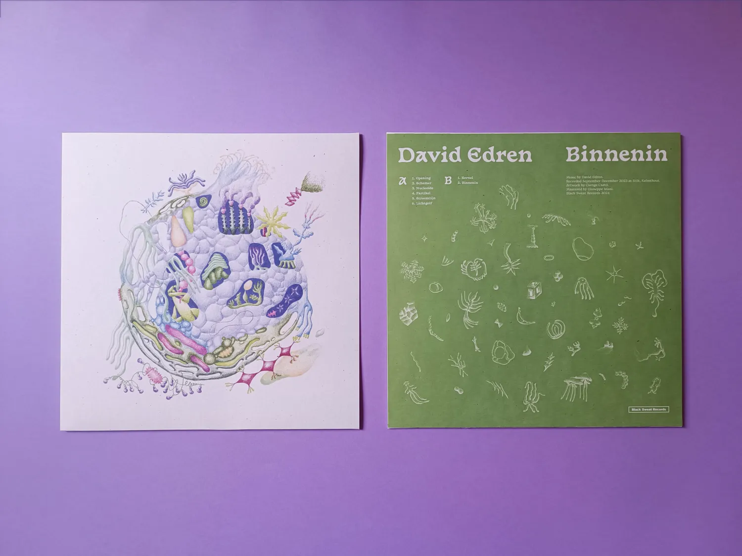 Black Sweat David Edren Binnenin vinile LP ambient