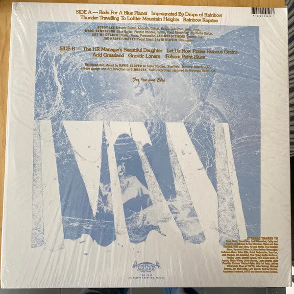 Bobby Lee Endless Skyways vinile LP rock 2023