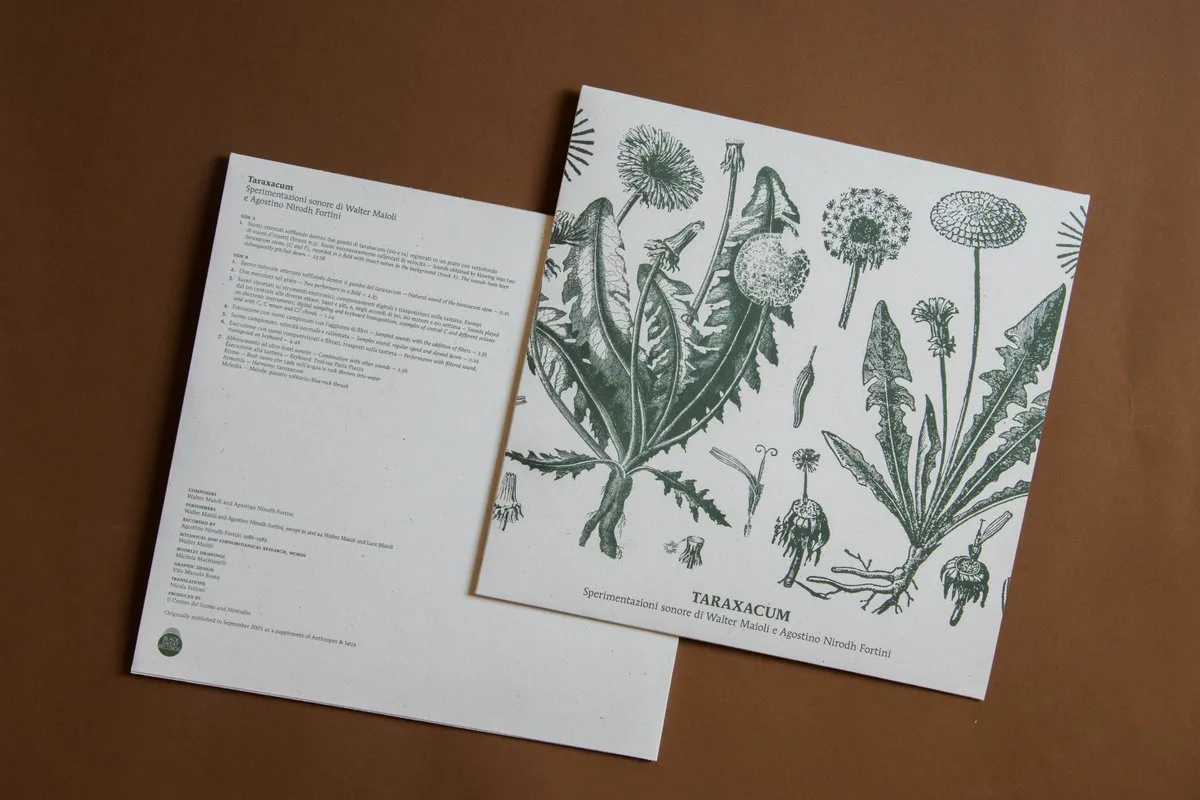 Black Sweat Records Maioli Fortini Taraxacum vinile LP botanico
