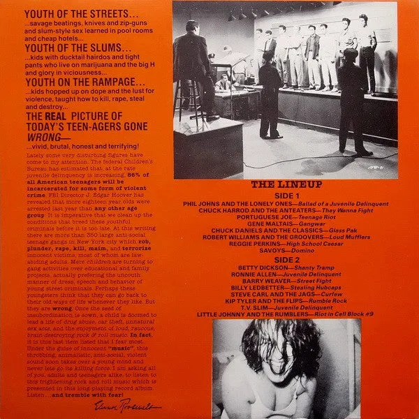 Various Teen-Age Riot vinile LP compilation rockabilly