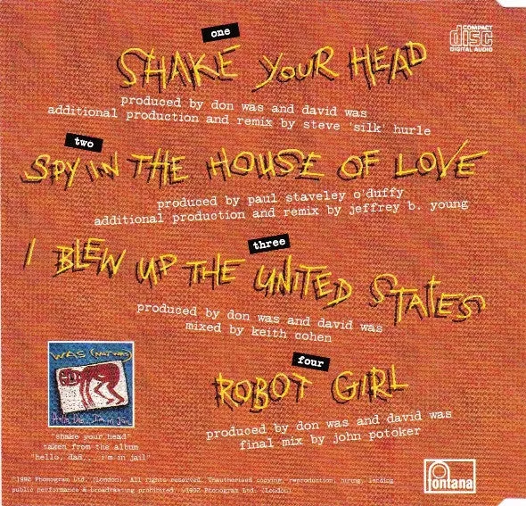 Was Not Was Shake Your Head CD singolo synth pop