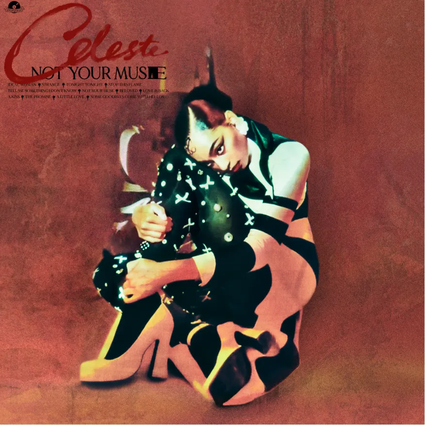 Polydor Records Not Your Muse LP vinile crema edizione limitata