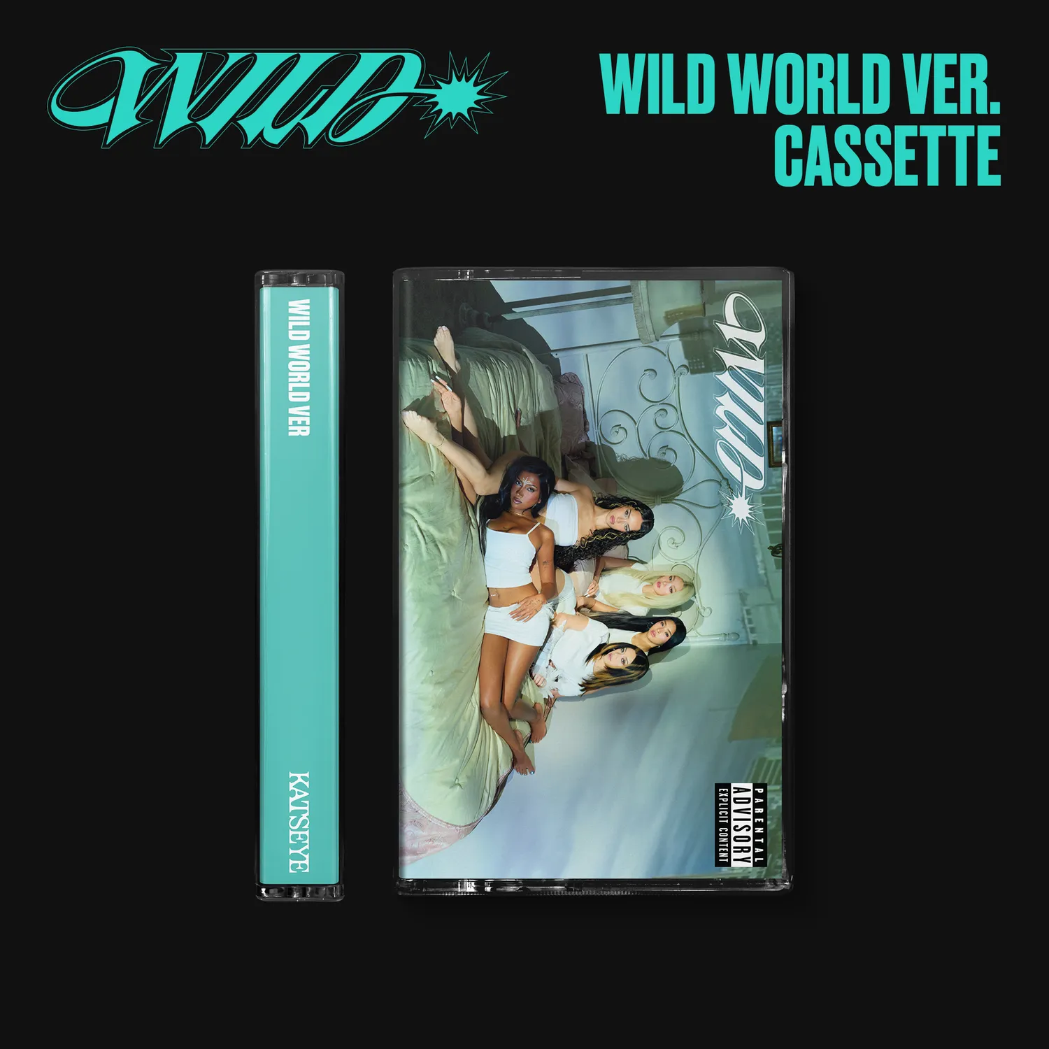Polydor WILD Set 7 Musicassette Edizione UK + Art Card