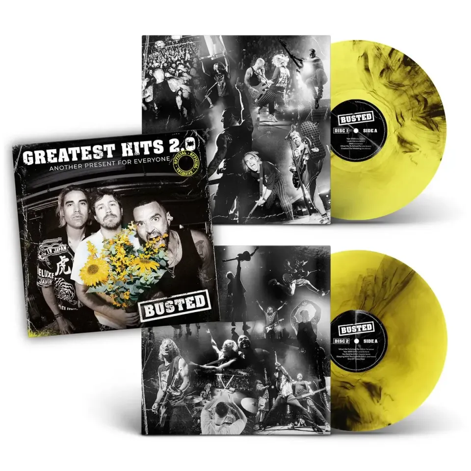 Busted Greatest Hits 2.0 vinile smoke pop punk