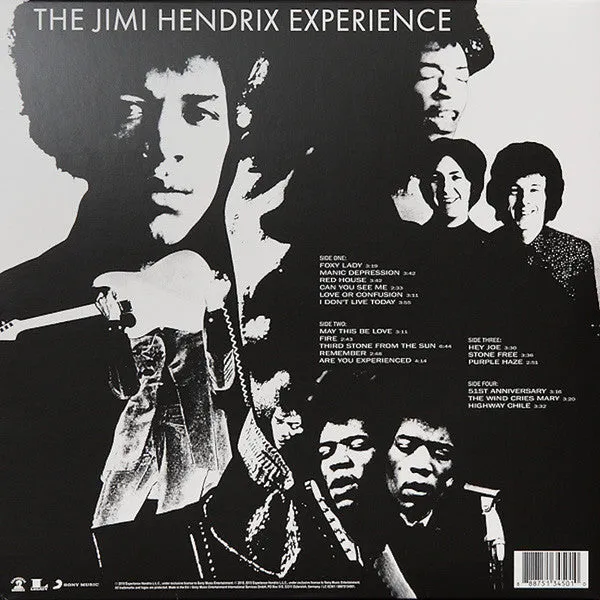 Jimi Hendrix Experience Are You Experienced 2LP 180g NM