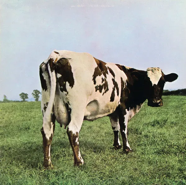 Pink Floyd Atom Heart Mother vinile LP ristampa 1976 VG