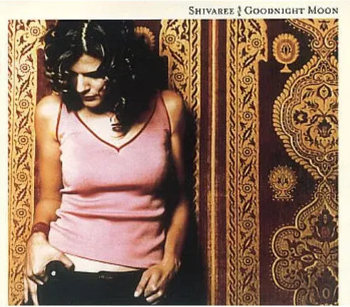 Shivaree Goodnight Moon CD singolo spot Breil