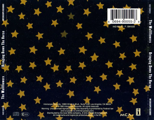 The Wallflowers Bringing Down The Horse CD album