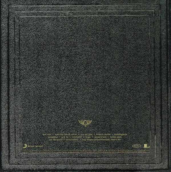 Pearl Jam Vitalogy doppio vinile 180g remaster