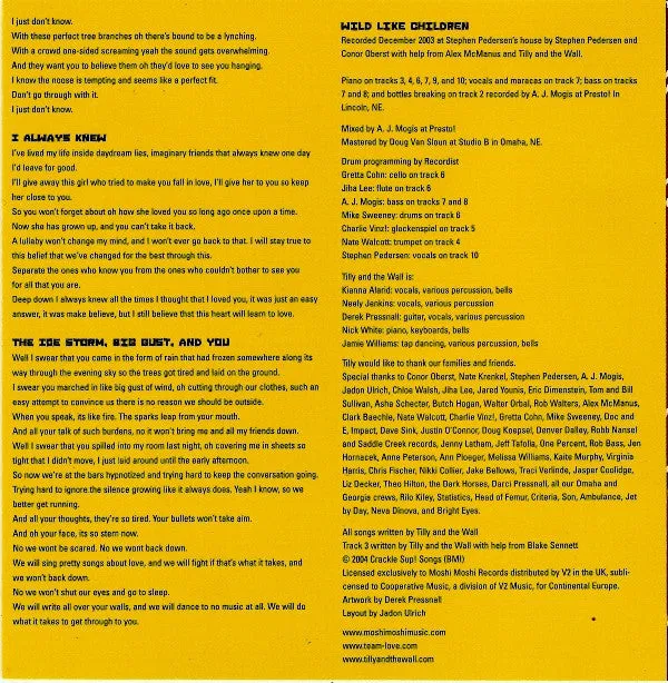 Tilly And The Wall Wild Like Children CD album usato