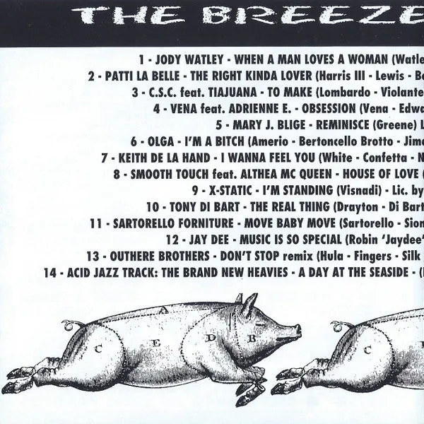 Various The Breeze Selection CD compilation usata