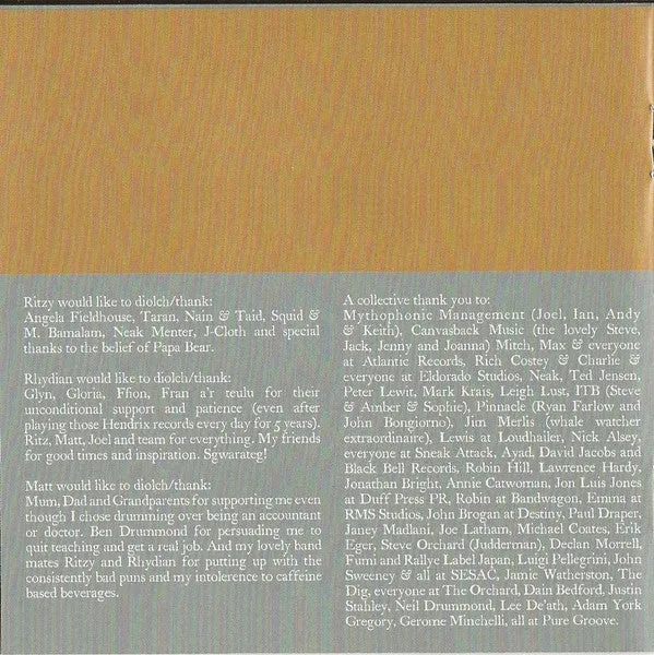 The Joy Formidable The Big Roar CD album indie rock