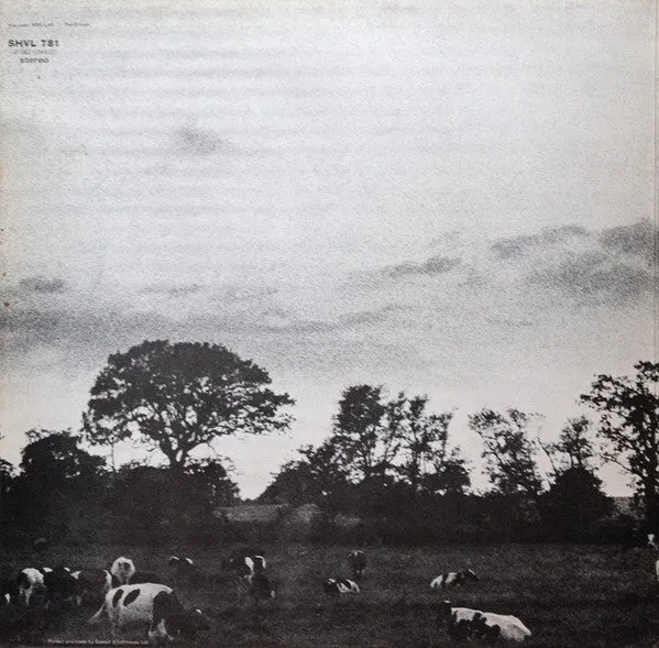 Pink Floyd Atom Heart Mother vinile LP ristampa 1976 VG