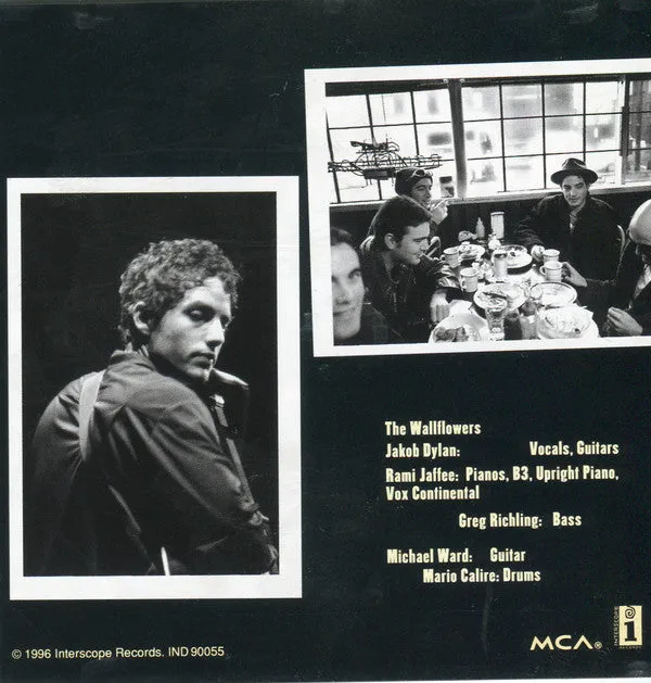 The Wallflowers Bringing Down The Horse CD album