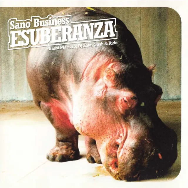 Sano Business Esuberanza doppio vinile 2LP nero