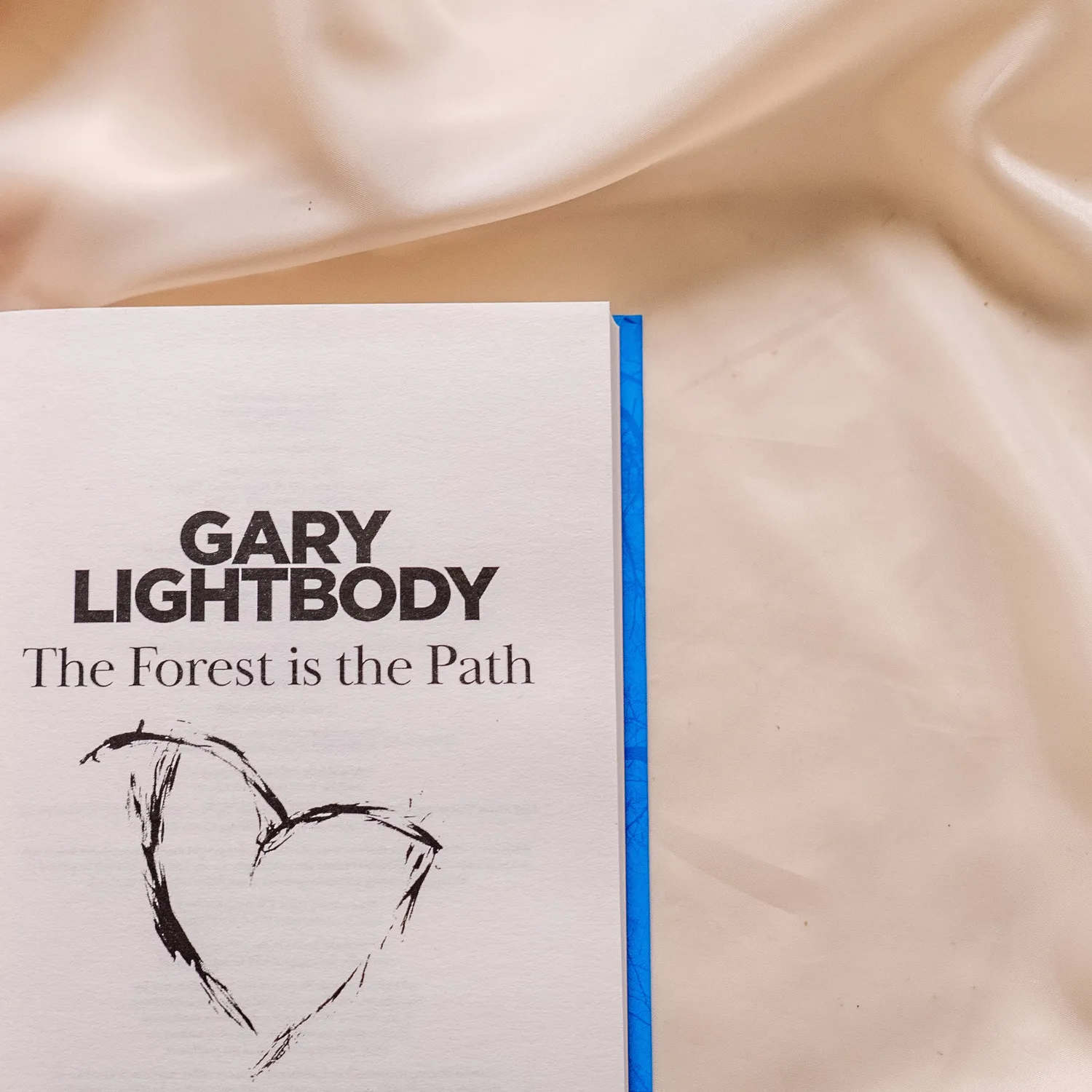 Snow Patrol The Forest is the Path libro copertina rigida