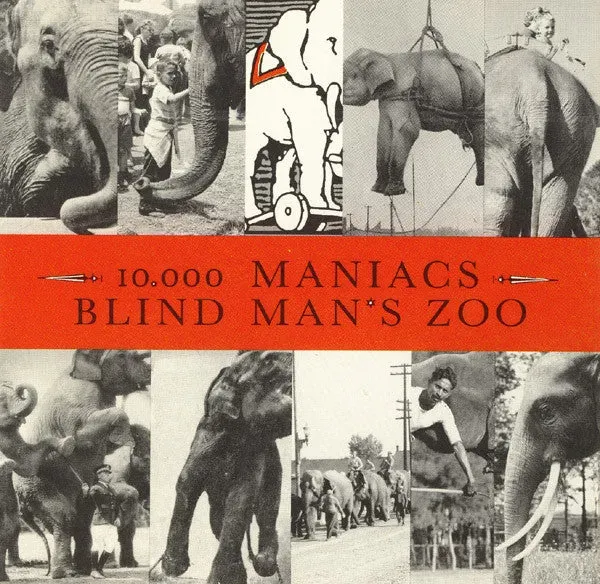 10,000 Maniacs Blind Man's Zoo CD album