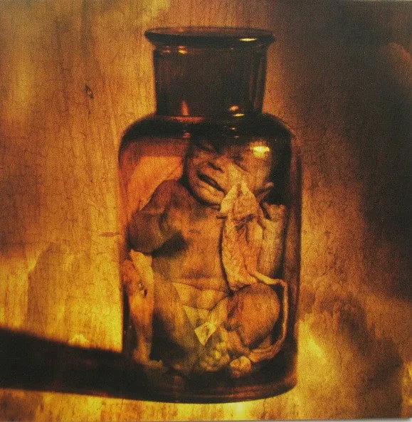 Blackfield Blackfield doppio CD digipak art rock