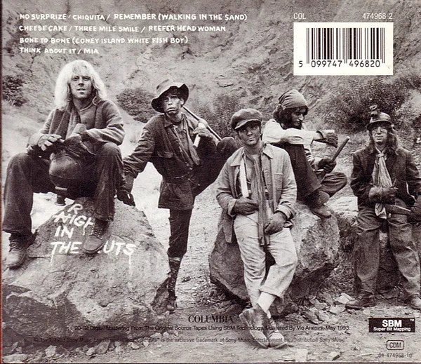 Aerosmith Night In The Ruts CD remaster hard rock