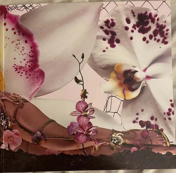 Kali Uchis Orquídeas vinile LP mint latino