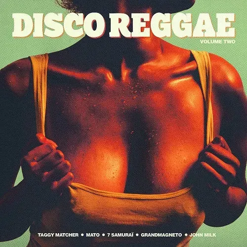 Various Disco Reggae Volume Two LP vinile disco dub