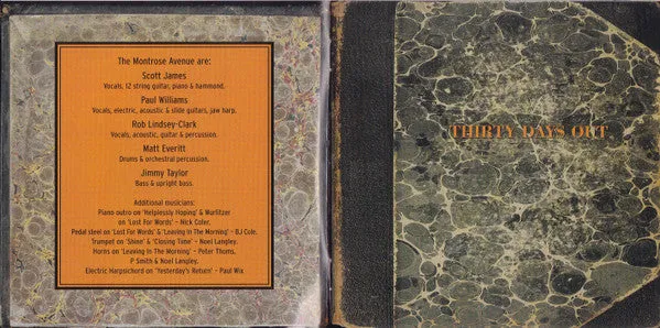 Montrose Avenue Thirty Days Out cd album pop rock