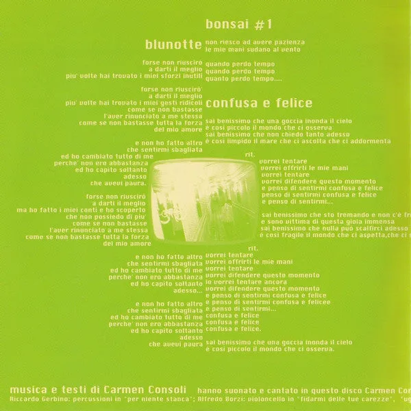 Carmen Consoli Confusa E Felice CD album usato