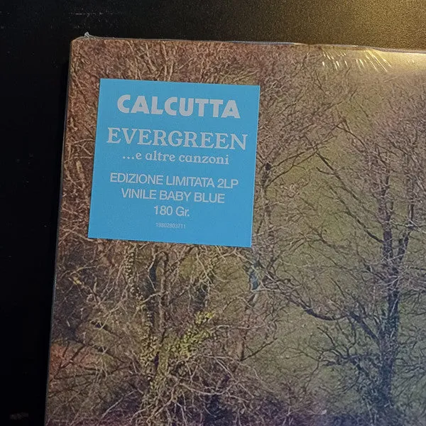 Calcutta Evergreen doppio vinile blu edizione limitata