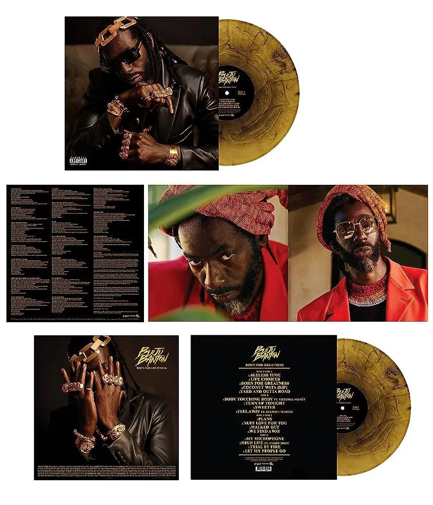 Polydor Born For Greatness vinile smokey marble LP
