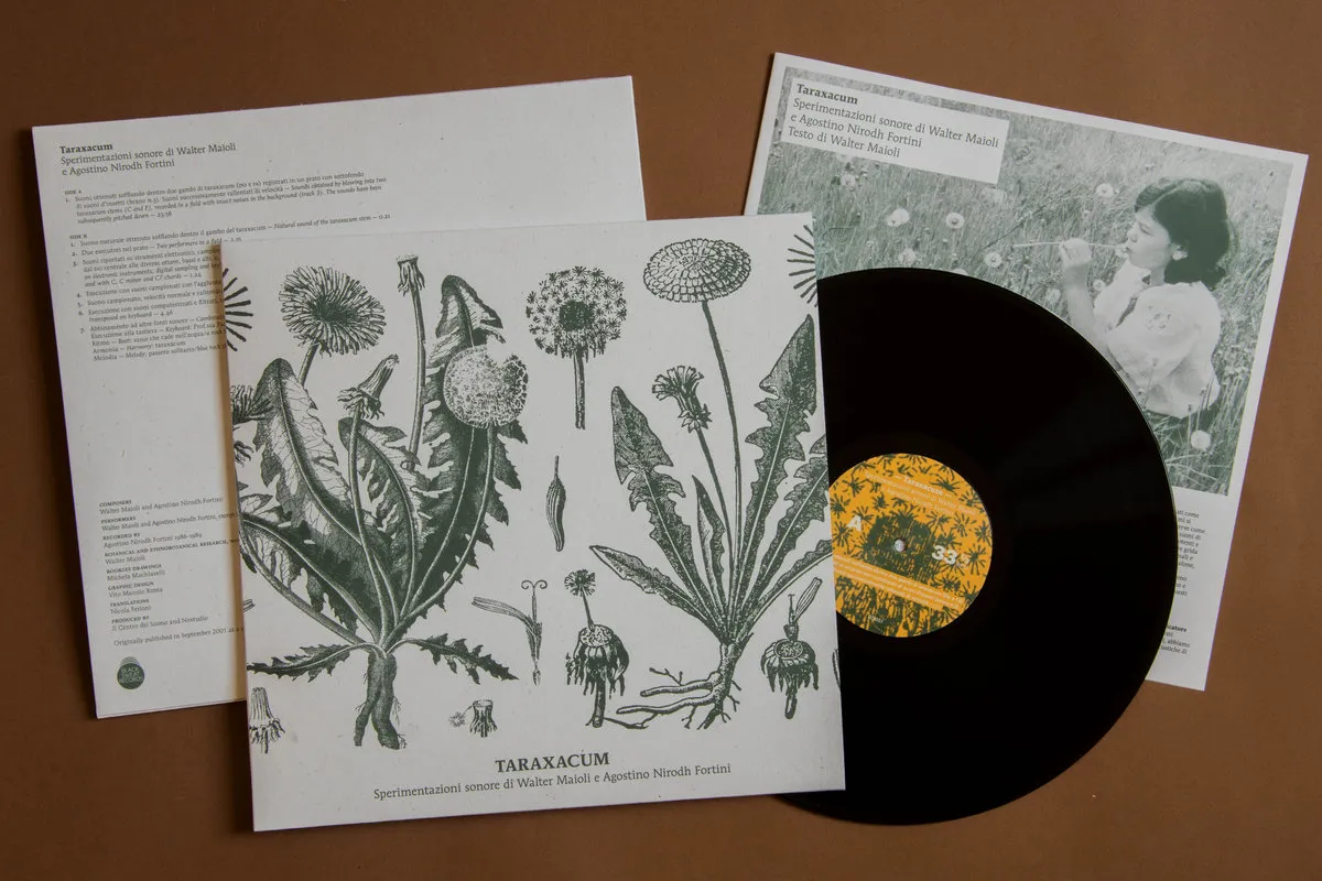 Black Sweat Records Maioli Fortini Taraxacum vinile LP botanico
