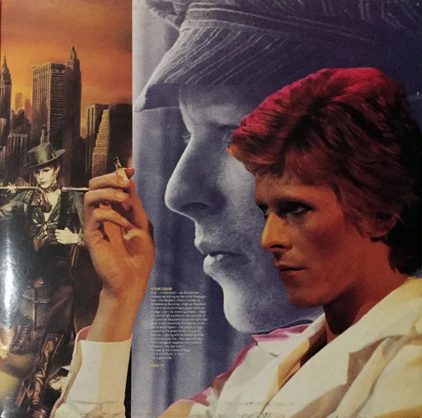 Bowie Diamond Dogs LP ristampa glam usato